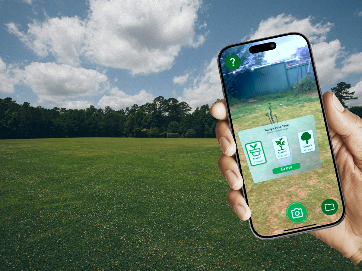 Sprout tree growth cycle visualisation screen