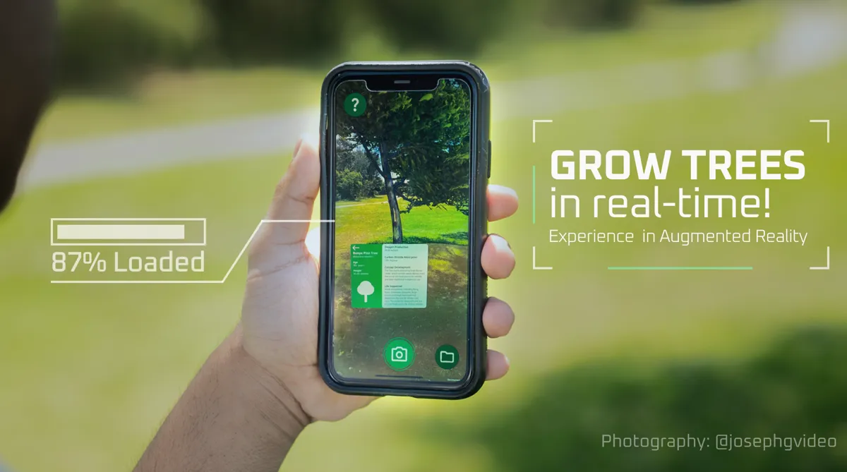 Sprout Cover Image (Photography Credit @josephgvideo)