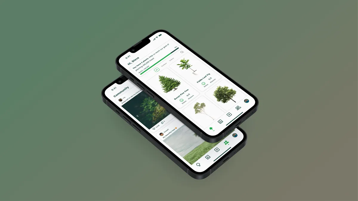 Sprout project showcase photography